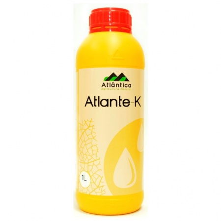 атланте k (atlante k)